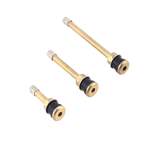Tubeless Truck Clamp-In Valves